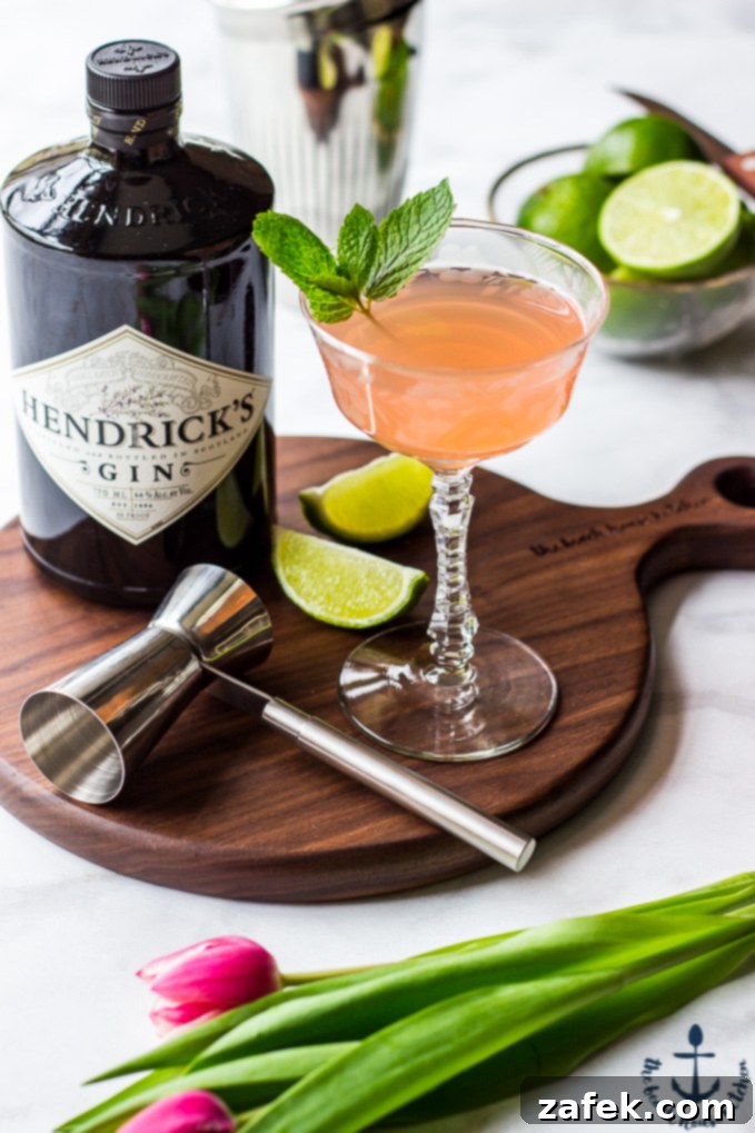 Scarlet Zest Gimlet 1 featured 13415