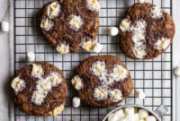 Cozy Hot Cocoa Marshmallow Delights