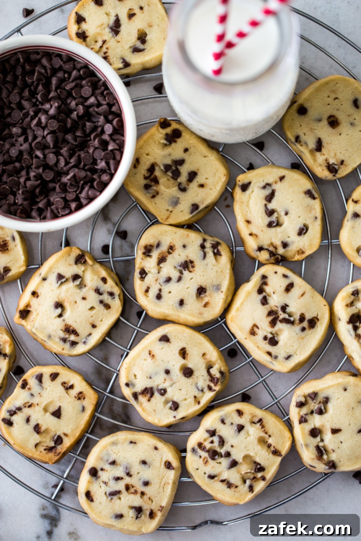 Tropical Chocolate Chip Cookie Logs 1 featured 52058