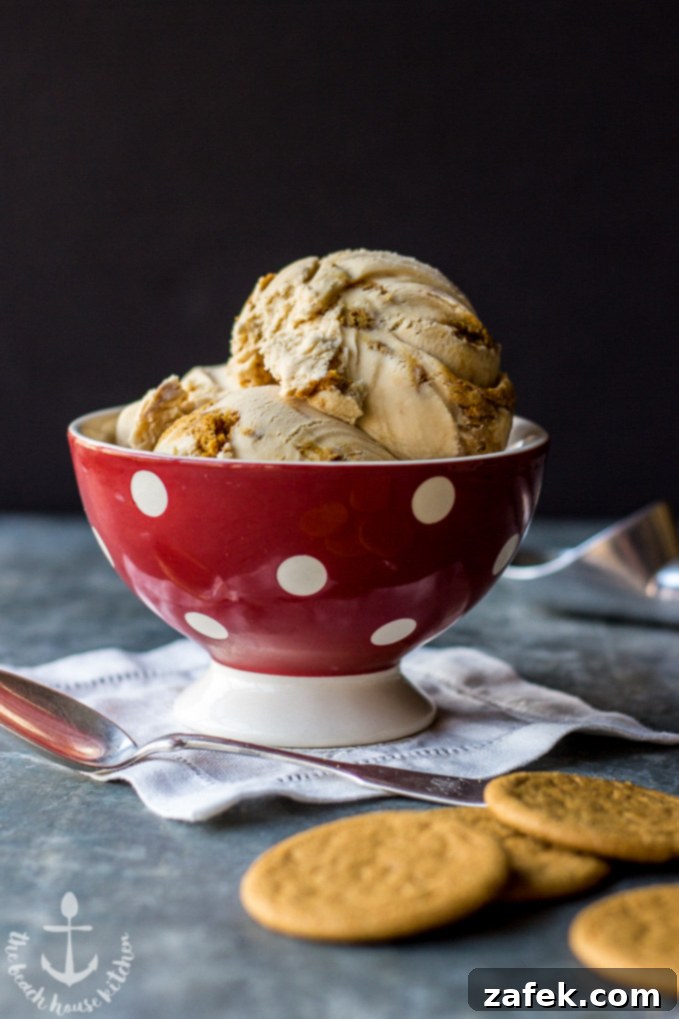 Salted Caramel Gingersnap Delight 1 featured 6062