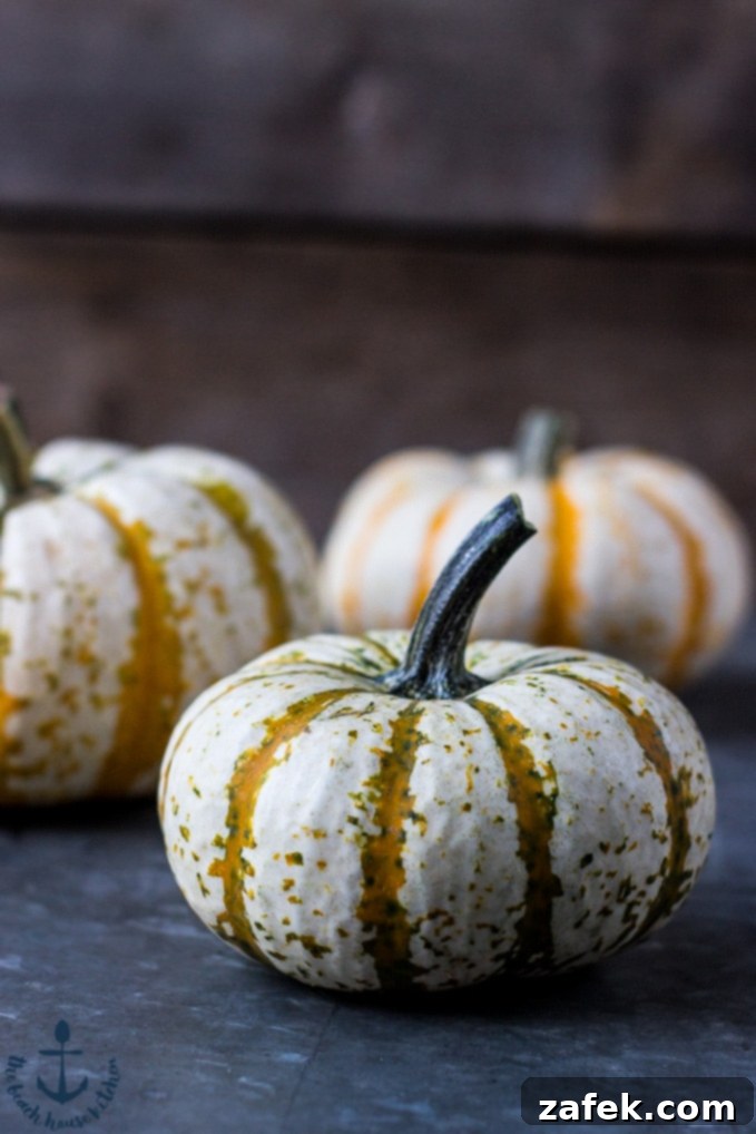 Spiced Pumpkin Swirl 5 Close-up of a single slice of Pumpkin Roll, showcasing the vibrant orange cake and contrasting white cream cheese filling, dusted with powdered sugar.
