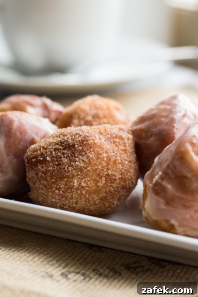 Miniature Donut Delights 5 Donut bites, some dusted with cinnamon sugar, others filled with jam, on a white plate.
