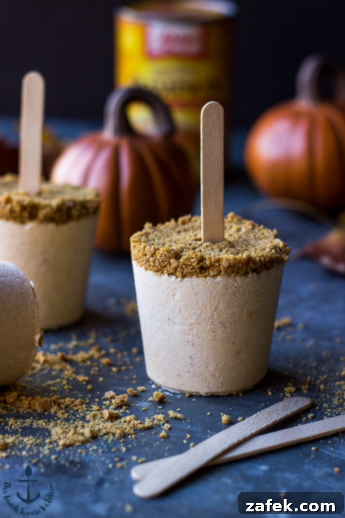 Individual Pumpkin Cheesecake Popsicles, highlighting the stick and crust detail