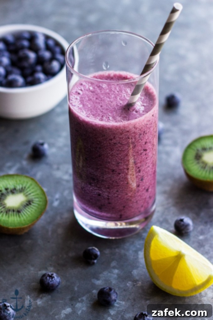 Lemon Berry Burst 2 Blueberry Lemon Zinger Smoothie
