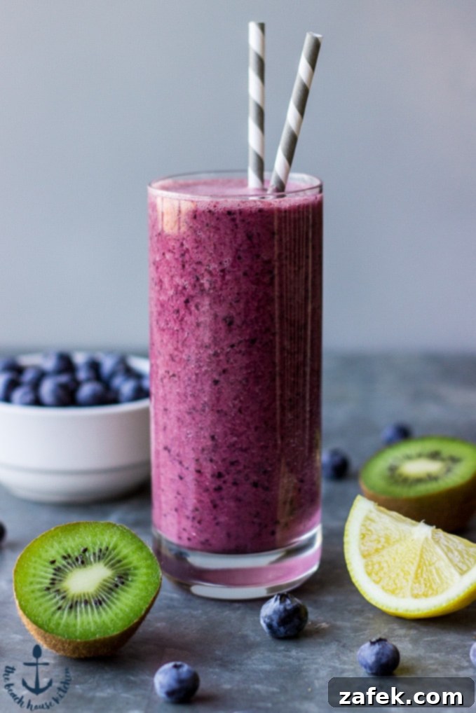Lemon Berry Burst 3 Blueberry Lemon Zinger Smoothie