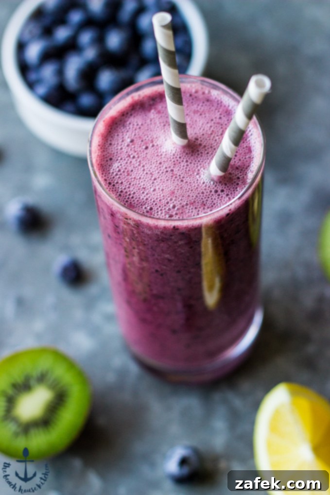 Lemon Berry Burst 5 Blueberry Lemon Zinger Smoothie