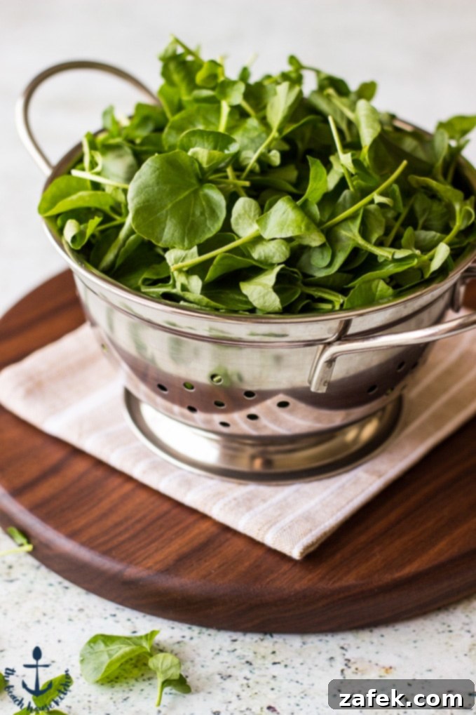 Gourmet Cobb Flatbread Wrap with Signature Watercress Pesto 4 Artistically arranged Cobb Salad Flatbread Wrap ingredients with fresh watercress prominently displayed