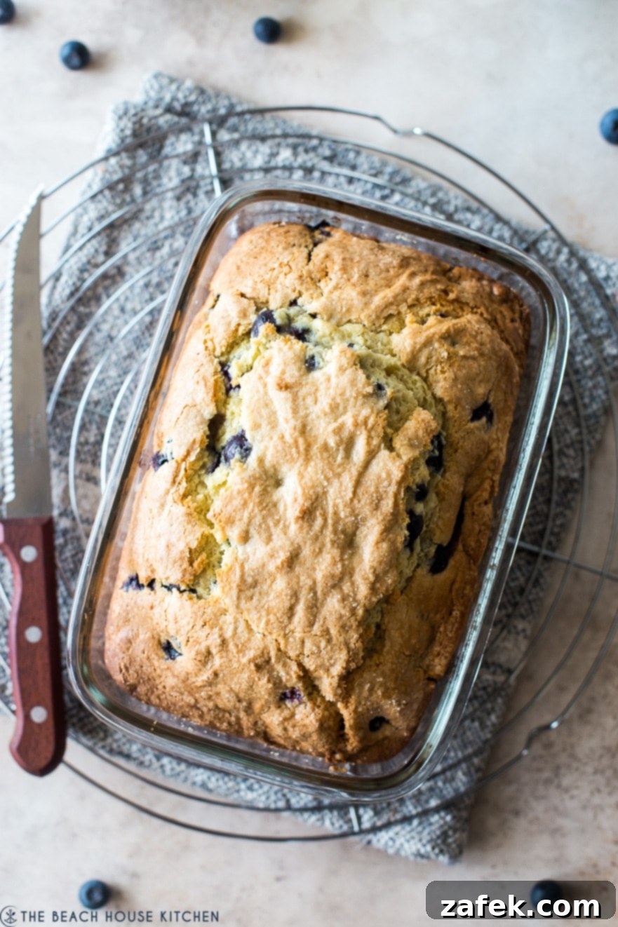 Blueberry Lemon Loaf 3 Blueberry lemon loaf on a round wire rack with a knife on the left side of the rack