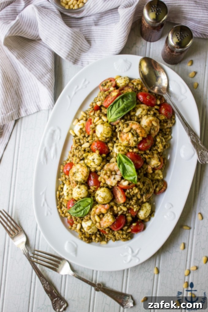 Farro Caprese Salad with Shrimp, a fresh and hearty Mediterranean dish.