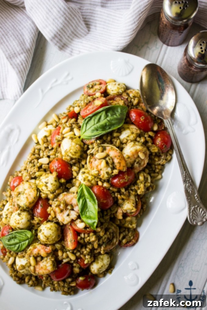 Platter of Farro Caprese Salad with Shrimp, ready to be served.