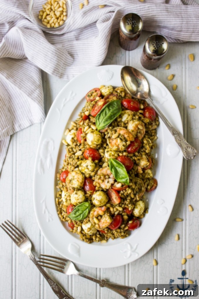 Delicious Farro Caprese Salad with Shrimp, garnished with fresh basil.