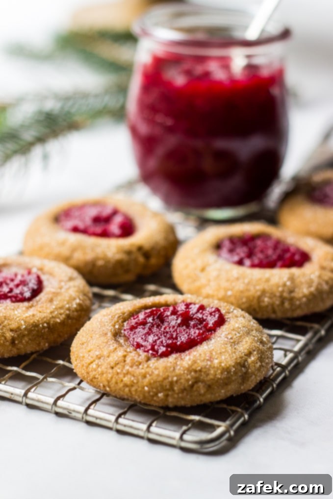 Holiday Cookies Magazine Spreads