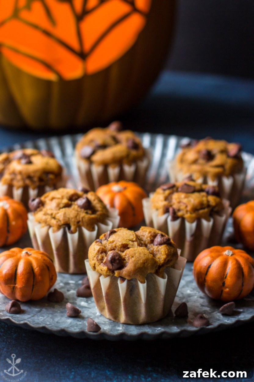 Freshly baked Pumpkin Chocolate Chip Muffins on a silver serving tray, perfectly golden brown with visible chocolate chips