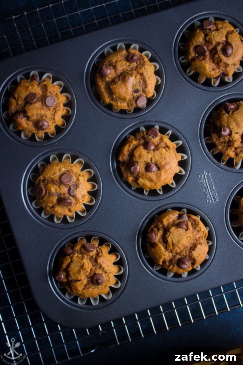 Overhead photo of Pumpkin Chocolate Chip Muffins cooling in a muffin tin, displaying their golden tops