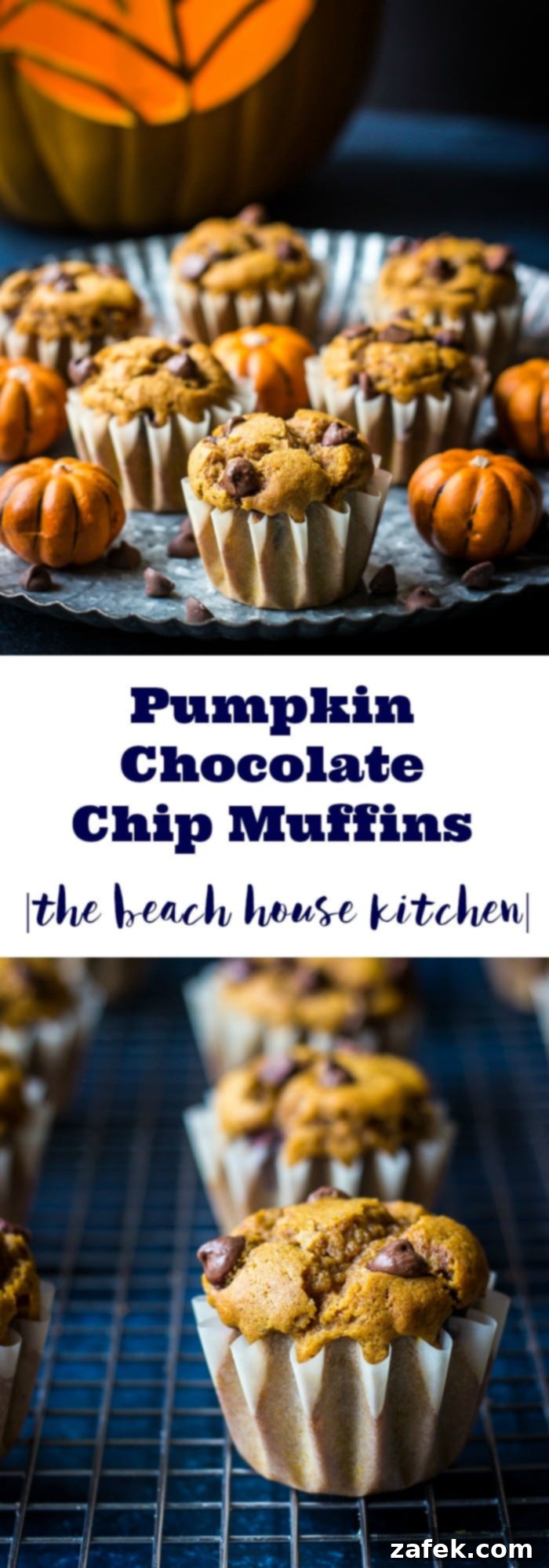 Pumpkin Chocolate Chip Muffins