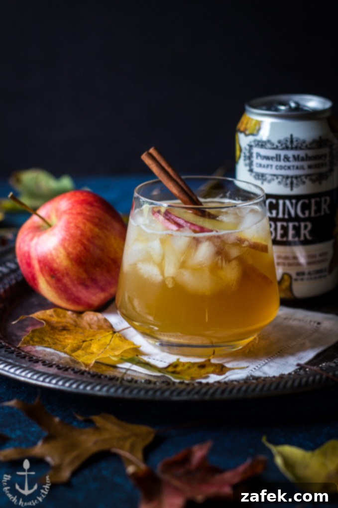 Fall-Dark-Stormy The Fall Dark 'N' Stormy cocktail on a silver tray with an apple and a can of ginger beer, garnished with apple slices and a cinnamon stick.