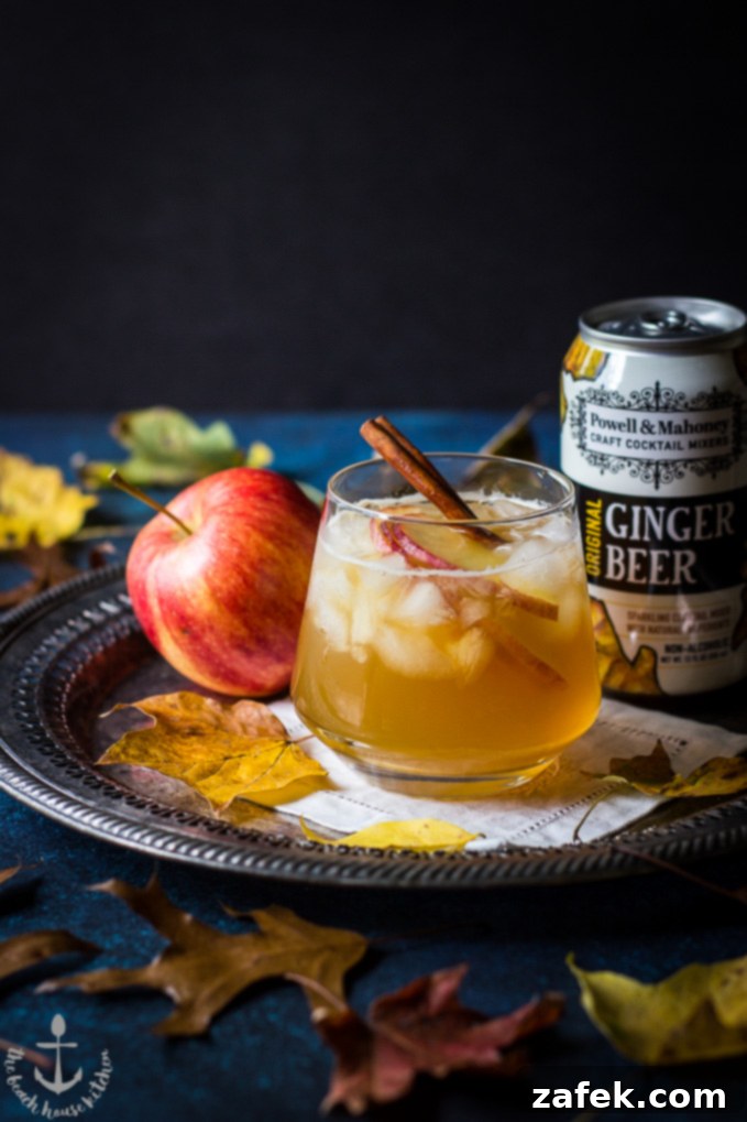 Dark-stormy-cocktail A beautifully presented Fall Dark 'N' Stormy cocktail on a silver tray, ready to be enjoyed, with an apple and ginger beer can in the background.