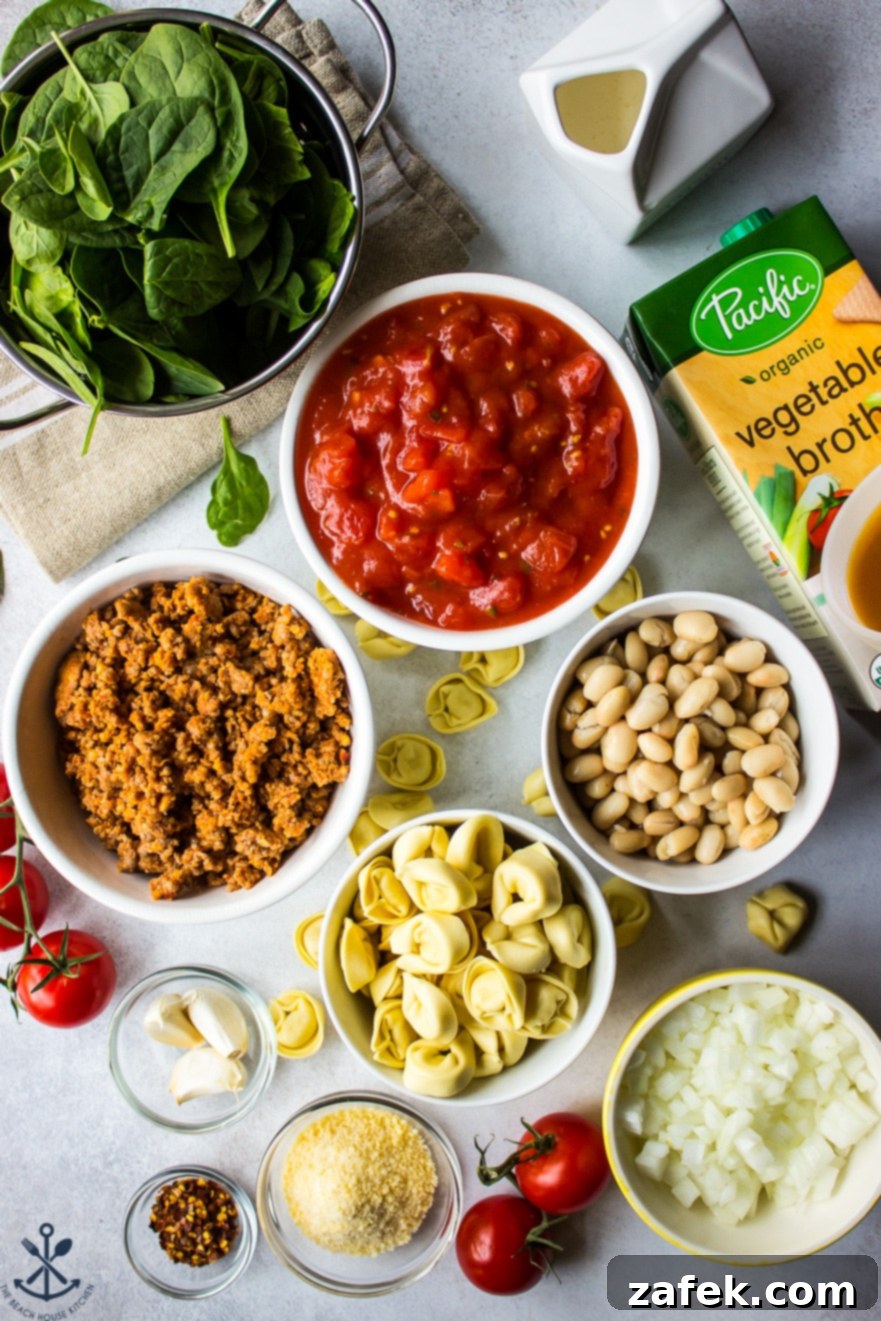 Overhead photo of all the fresh and colorful ingredients needed to make this delicious tomato tortellini stew, laid out artfully.