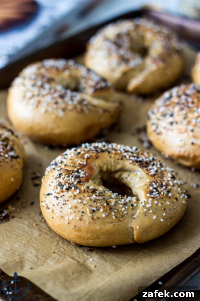 Perfect Bagel Texture Everything Bagels arranged neatly on a baking sheet with parchment paper, ready for baking.