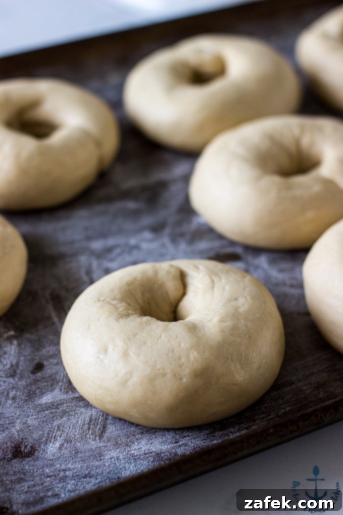 Bagel Baking Process Pre-baked Everything Bagels, golden and puffed, arranged on a baking sheet before being topped and fully baked.