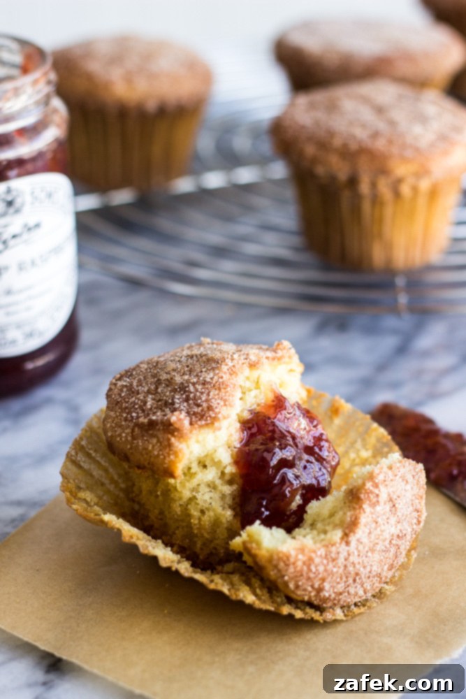 Doughnut-Shop Cinnamon Sugar Muffins 2 Cinnamon Sugared Doughnut Muffins