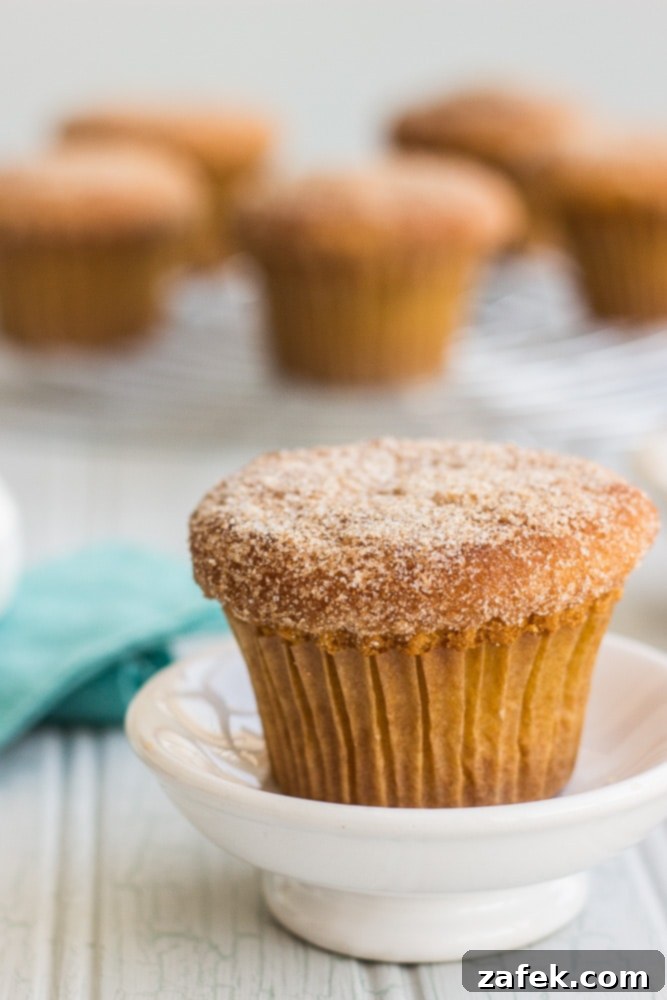 Doughnut-Shop Cinnamon Sugar Muffins 3 Cinnamon Sugared Doughnut Muffins