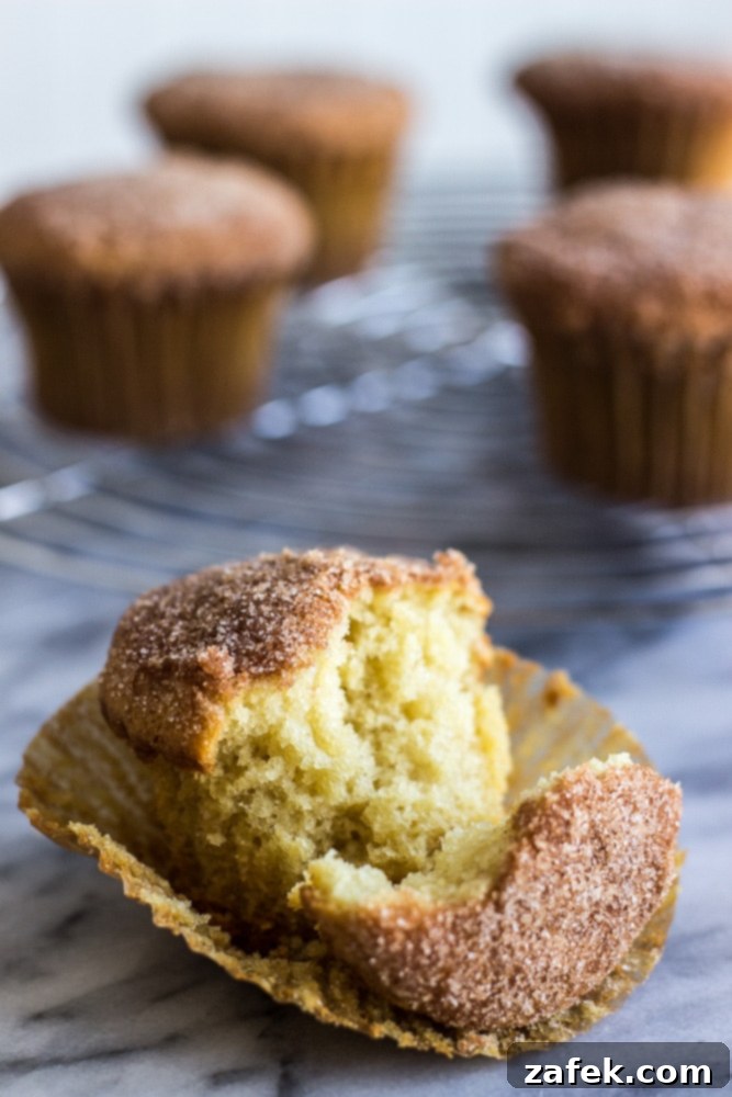 Doughnut-Shop Cinnamon Sugar Muffins 4 Cinnamon Sugared Doughnut Muffins