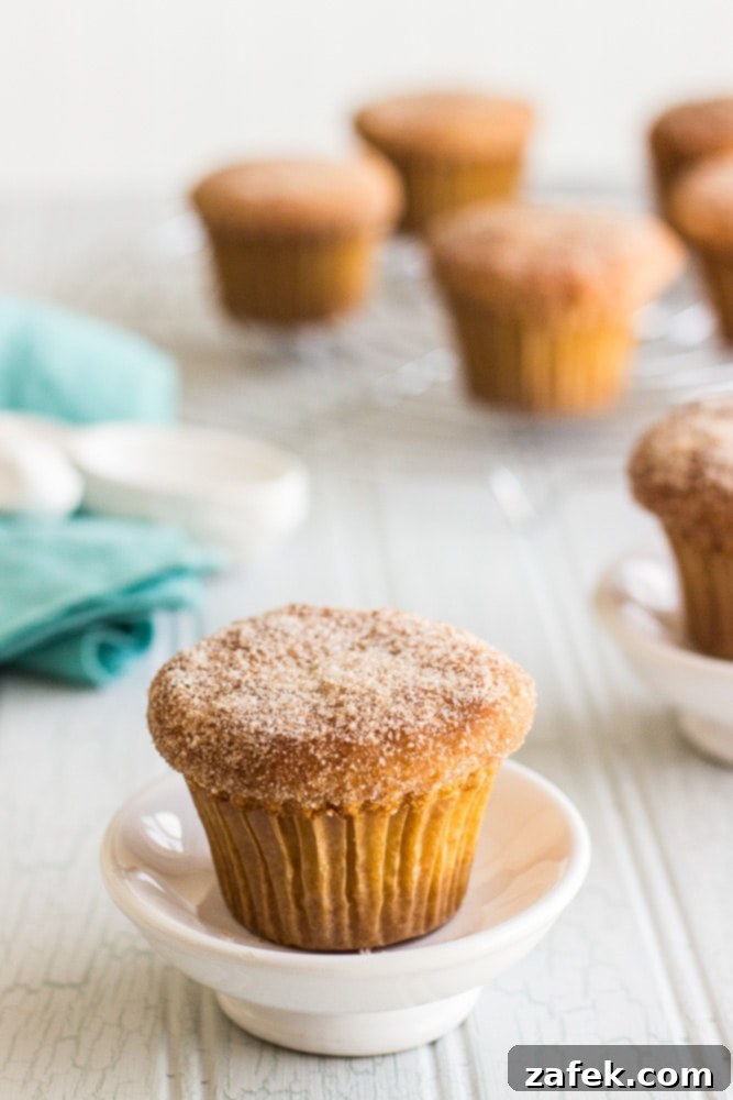 Doughnut-Shop Cinnamon Sugar Muffins 5 Cinnamon Sugared Doughnut Muffins