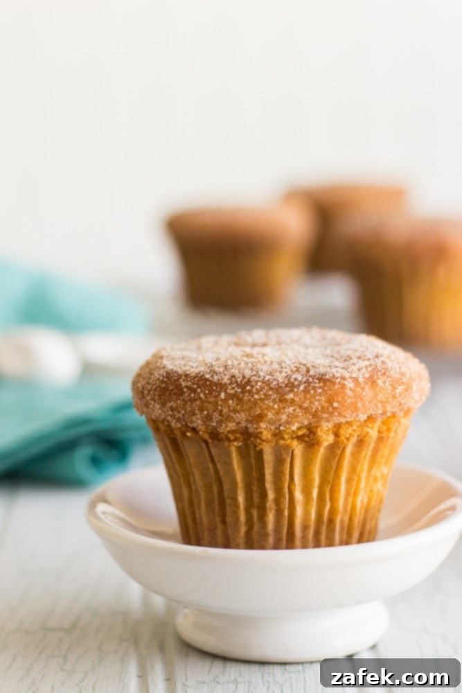 Doughnut-Shop Cinnamon Sugar Muffins 6 Cinnamon Sugared Doughnut Muffins