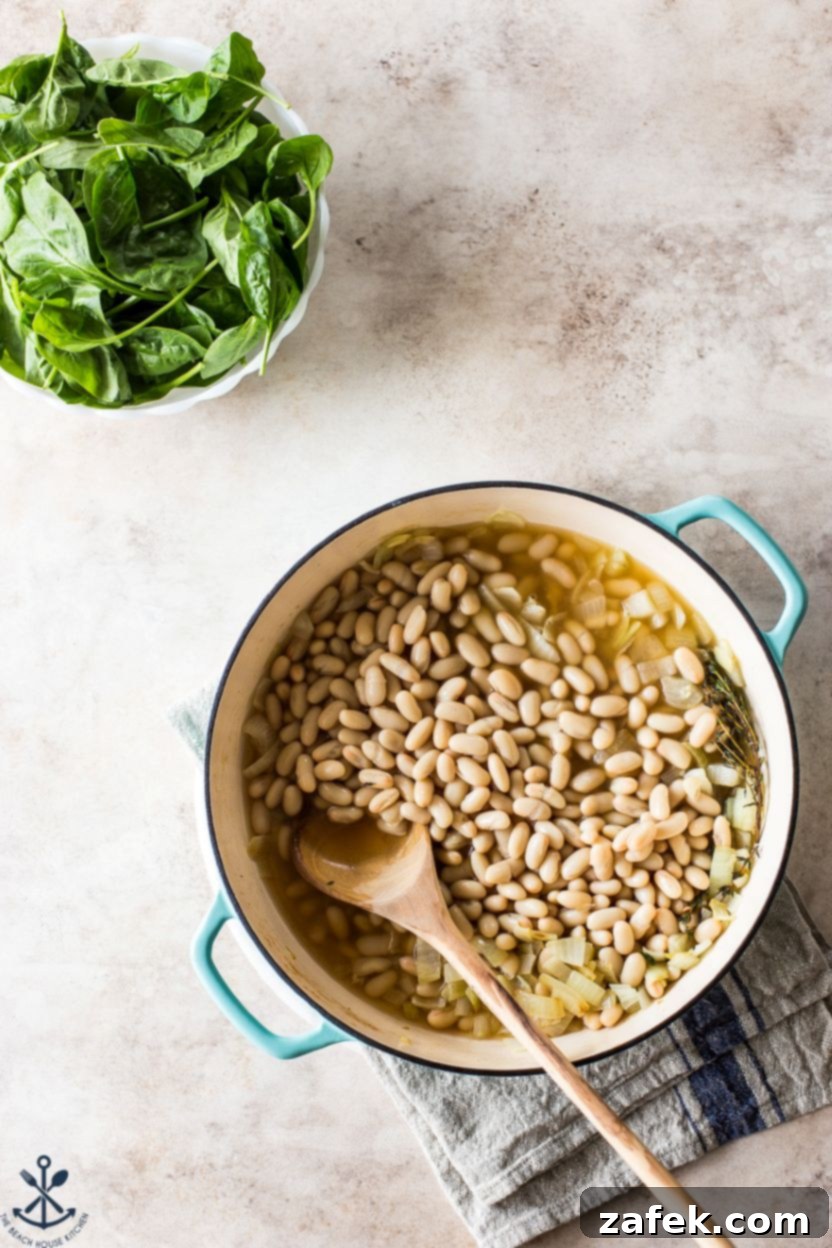 Hearty Chorizo and White Bean Stew 5 Overhead view of cannellini beans and fresh spinach leaves, key ingredients for the stew