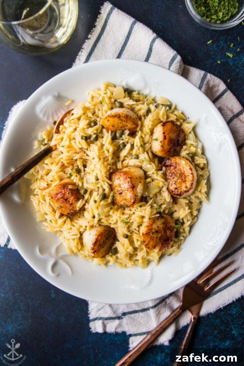 Pan-Seared Scallops with Zesty Orzo Piccata 4 Overhead photo of a white dish of scallops with orzo pasta
