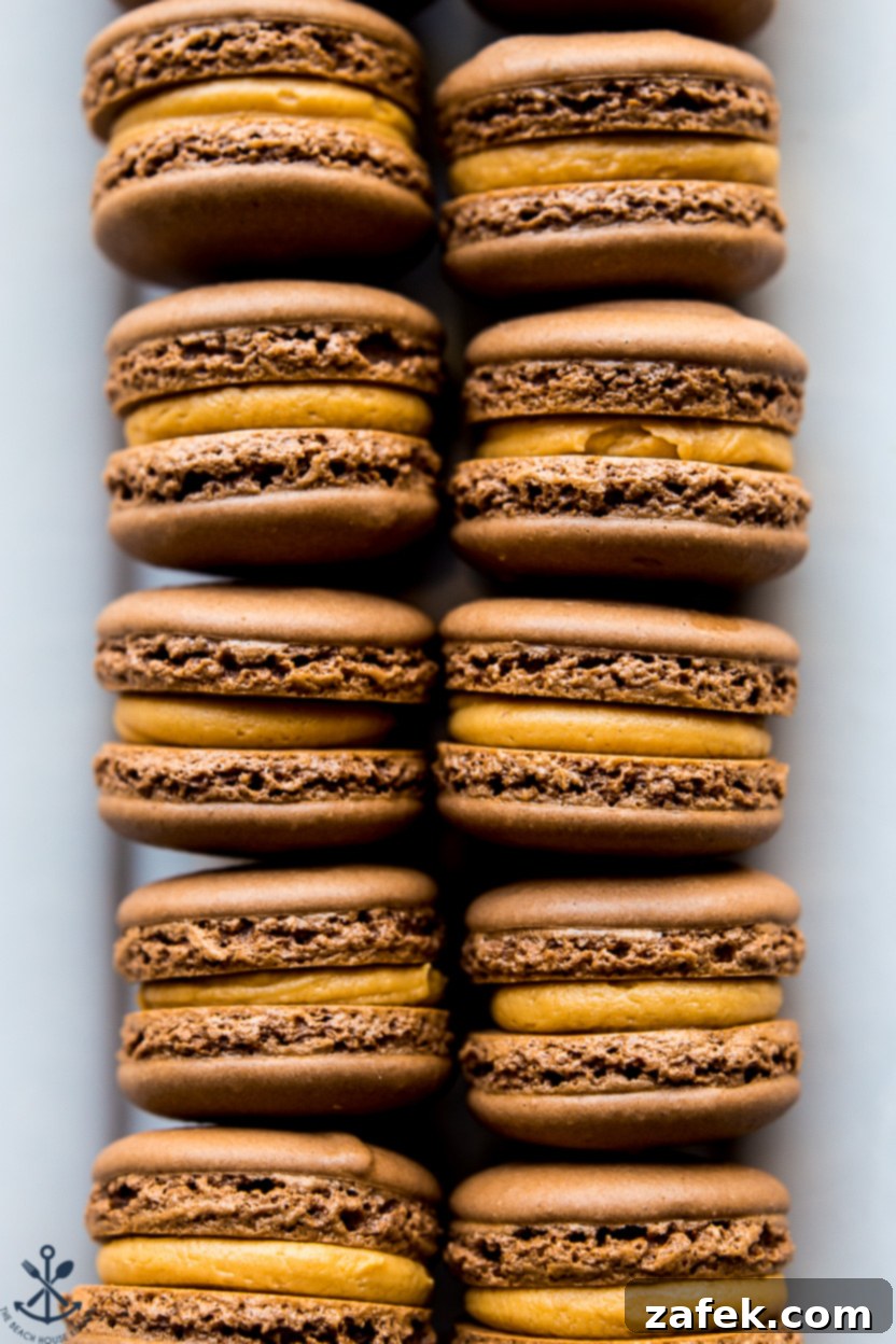 Irresistible Chocolate Peanut Butter Macarons 2 Up close overhead photo of a plate of chocolate peanut butter macarons, showcasing their perfect feet and creamy filling.