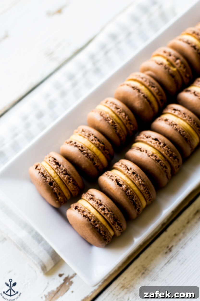 Irresistible Chocolate Peanut Butter Macarons 3 Chocolate Peanut Butter Macarons elegantly arranged on a white tray, ready to be enjoyed.