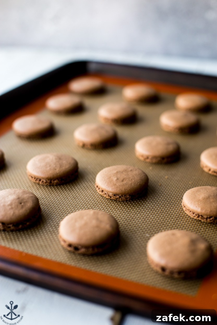 Irresistible Chocolate Peanut Butter Macarons 5 A baking sheet filled with dark chocolate macaron shells, showing their perfectly smooth tops and emerging feet.