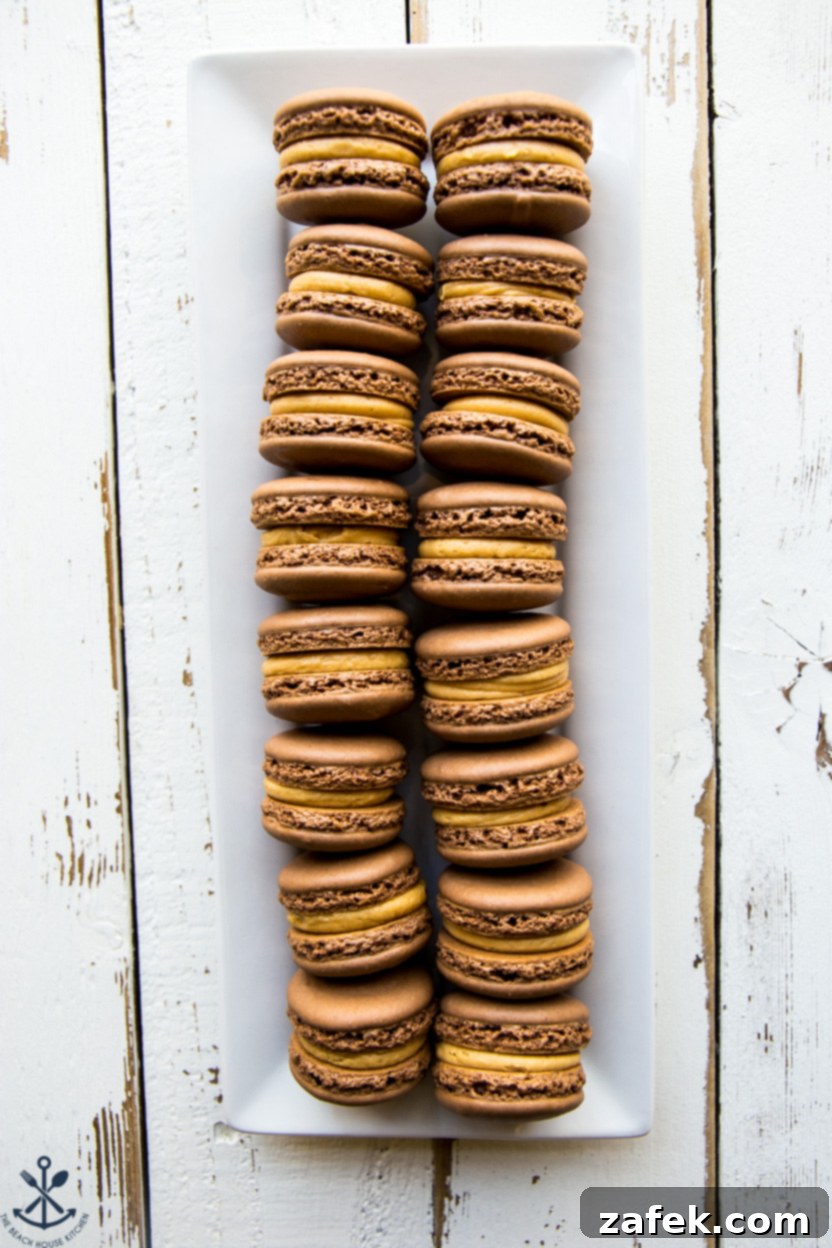 Irresistible Chocolate Peanut Butter Macarons 7 An inviting overhead photo of a white rectangular dish showcasing two neat strips of chocolate peanut butter macarons.