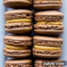 Irresistible Chocolate Peanut Butter Macarons 8 Chocolate Peanut Butter Macarons