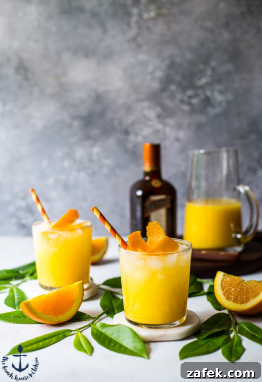 Orange Crush Cocktail Orange Crush Cocktail