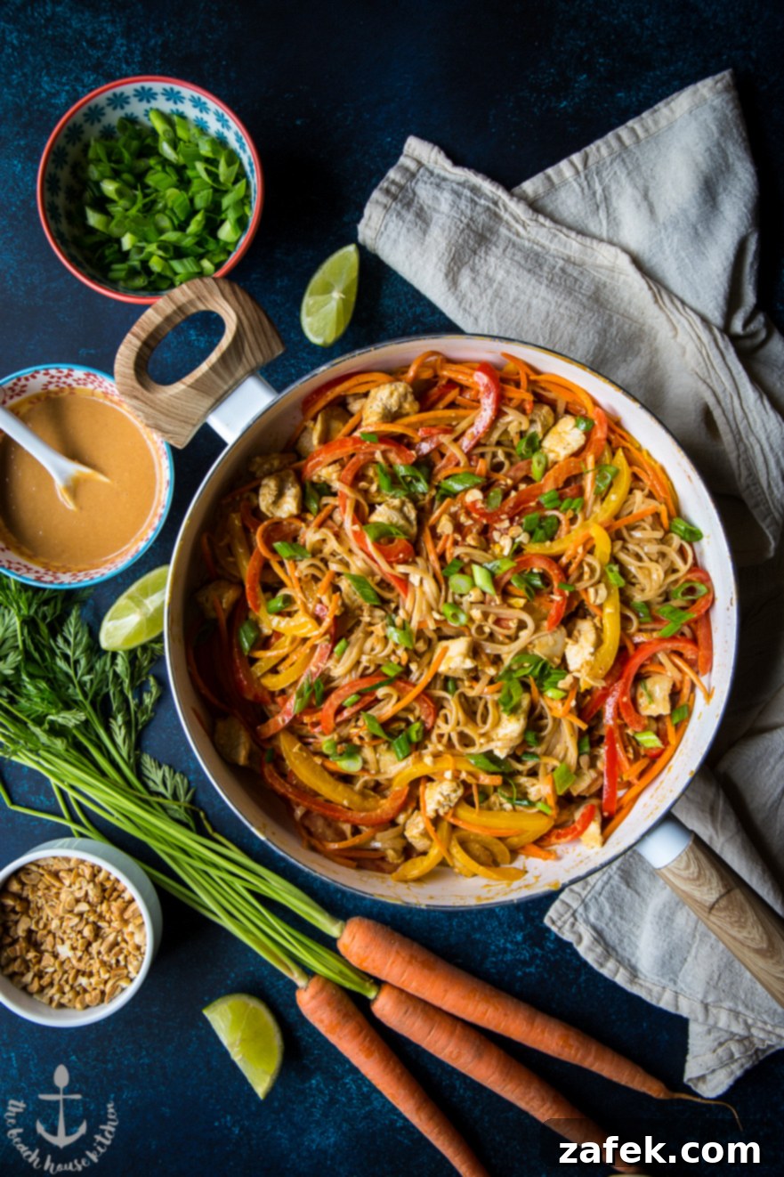 Chicken Noodle Stir-Fry with Spicy Thai Peanut Sauce - Dish Served