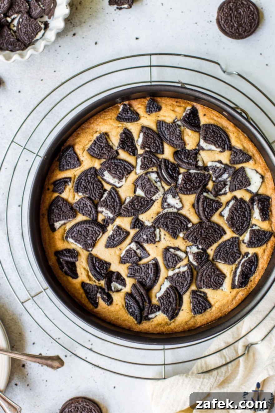 Delicious Oreo Blondie Ready for a Bite Hand holding a perfectly baked Oreo Blondie, showcasing its appealing texture