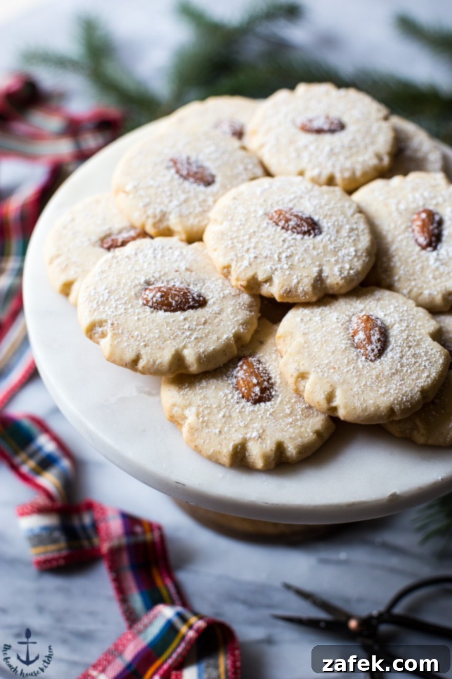 A Partner for Perfect Homemade Treats: Diamond of California