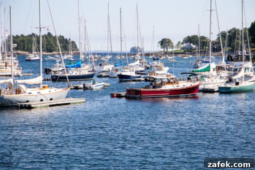 Enjoying a picturesque moment from an Airstream camper in Maine