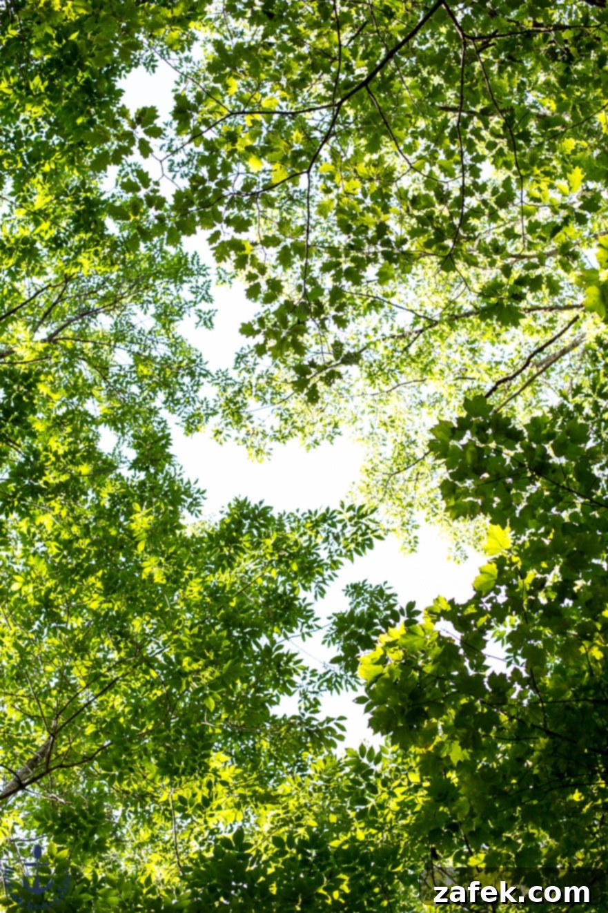 Close-up of the delicious Hot Cheesy Lobster Dip, ready to be served