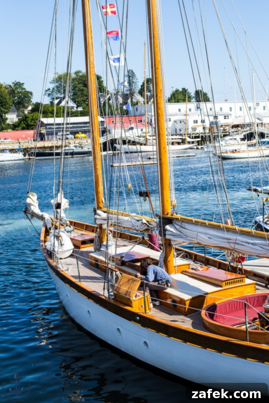 Freshly caught Maine lobster, a culinary symbol of the region