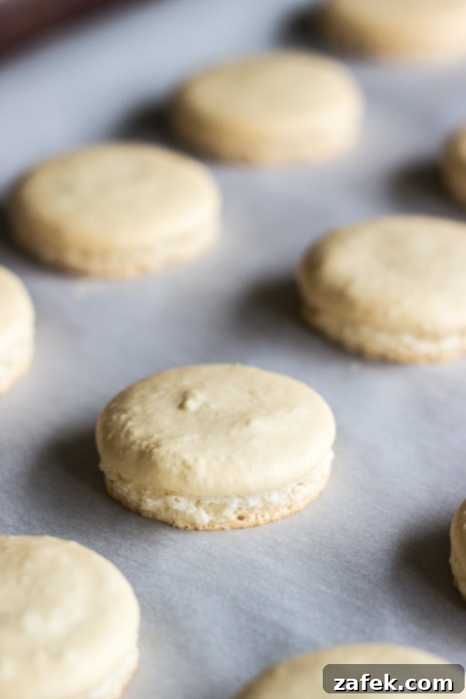Strawberry Shortcake Macaron Dreams 5 Shortcake macarons before adding strawberry, looking absolutely stunning
