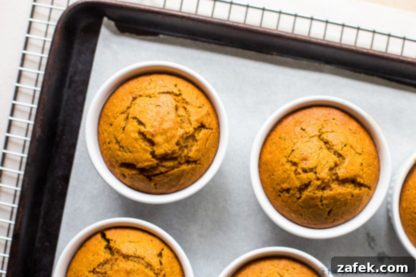 Overhead photo of ramekins filled with pumpkin cake on a parchment-lined baking sheet 