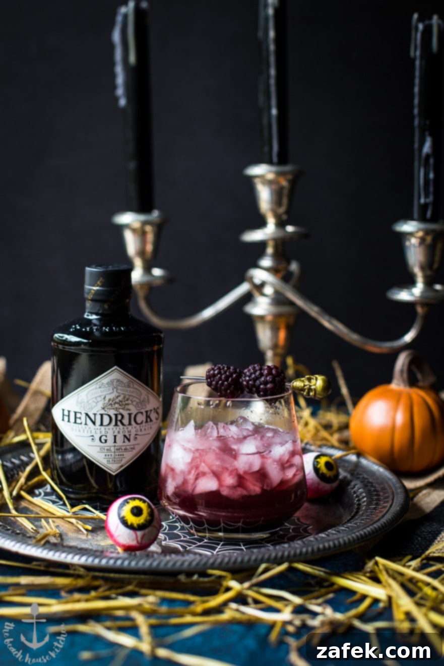 Black Widow Cocktail - Close-up of Garnish and Dark Liquid