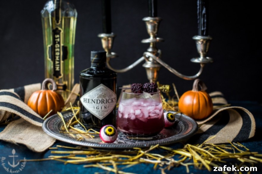 Black Widow Cocktail - Prepared Drink with Berries and Glassware