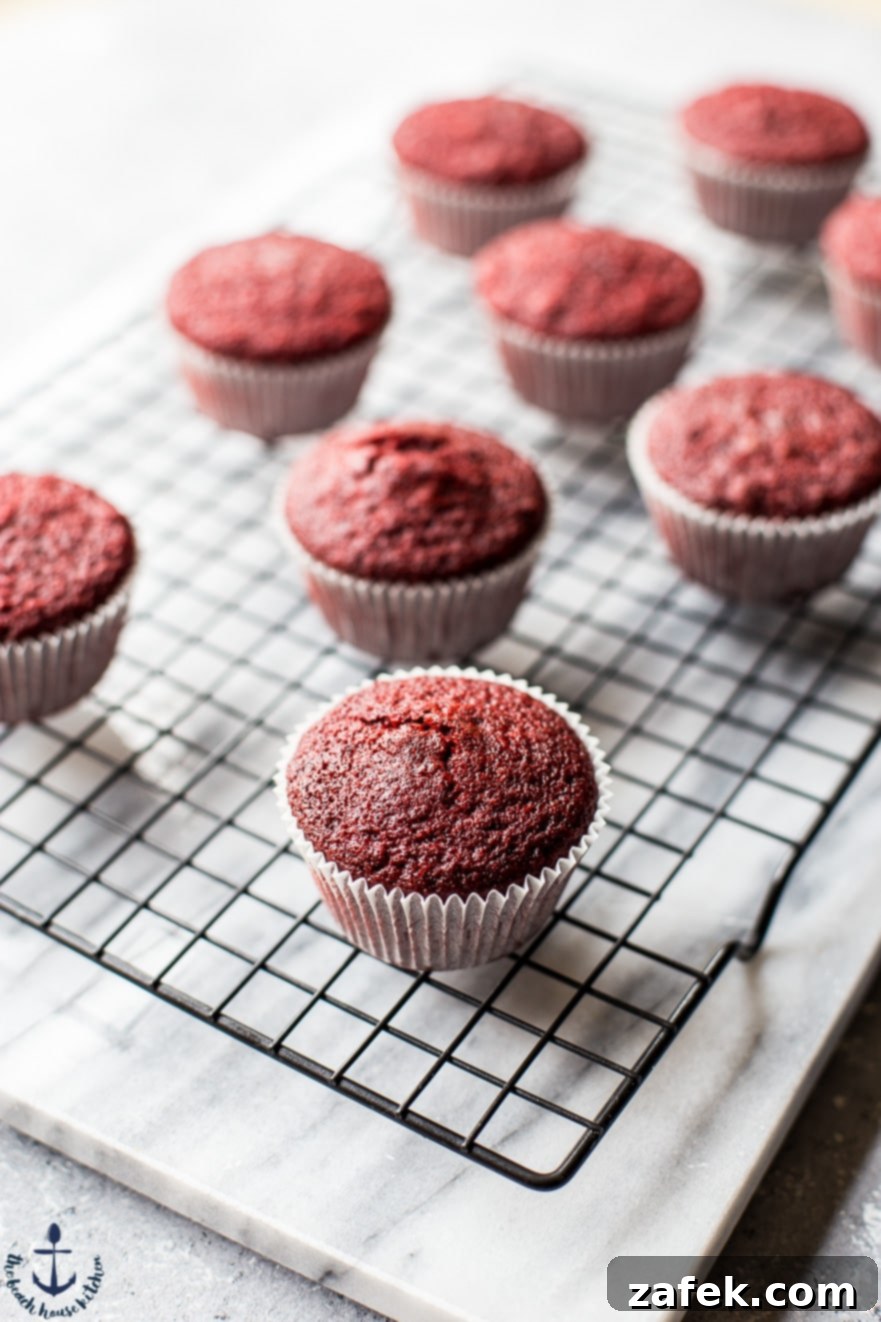 Red Velvet Cupcake with Festive Gold Stars A festive Red Velvet Cupcake adorned with edible gold stars, highlighting its holiday appeal