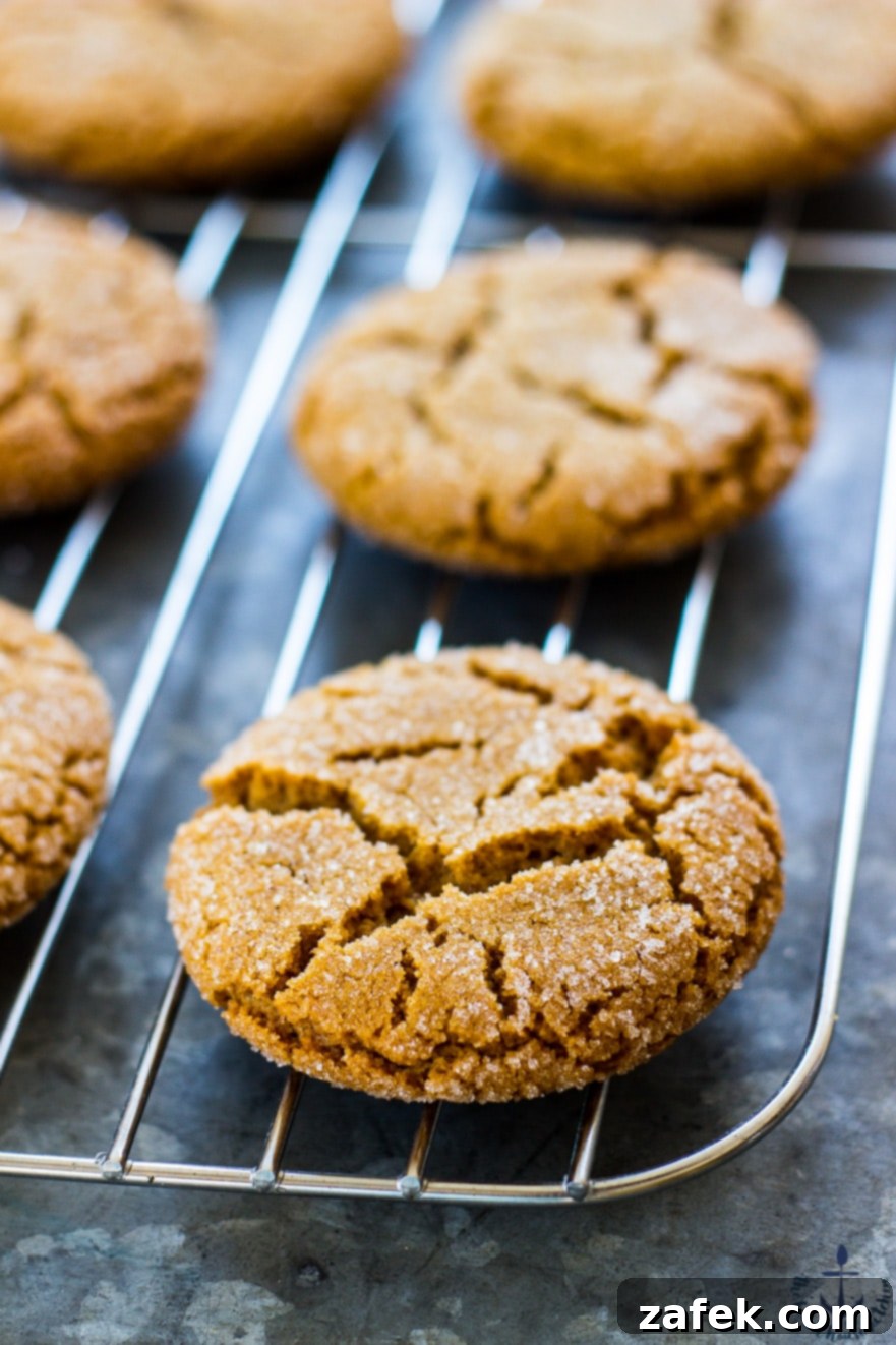 An close-up of a festive cookie box, showing individual compartments filled with different holiday cookies.