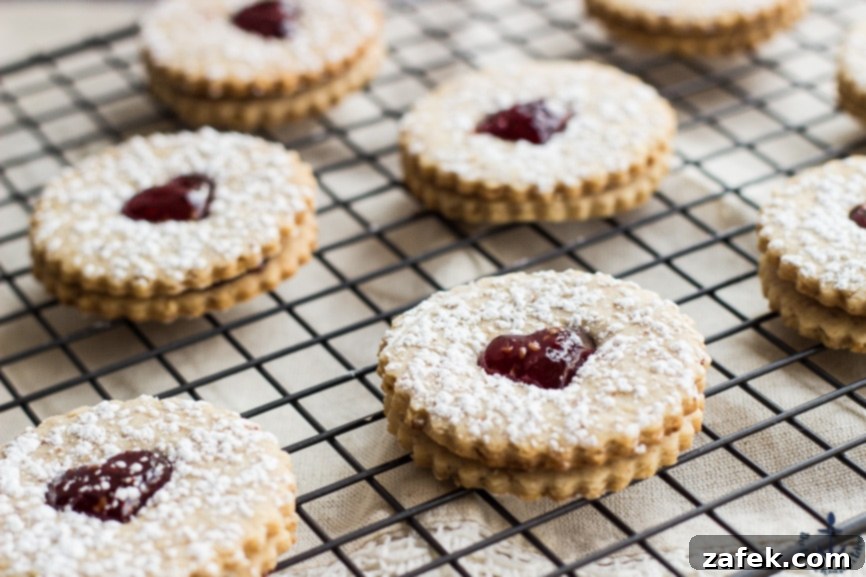 Heart-shaped Pecan Linzer Cookies with a raspberry jam filling, dusted with powdered sugar, festive and elegant.